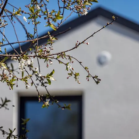 Livin'palanga Apartament Połąga