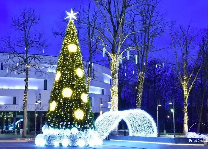 Livin'palanga דירה פלאנגה