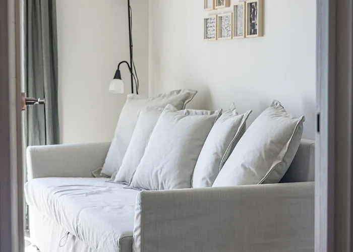 Livin'palanga פלאנגה