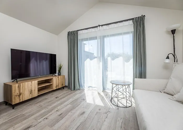 Livin'palanga פלאנגה