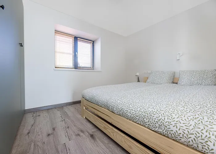 Livin'palanga * פלאנגה