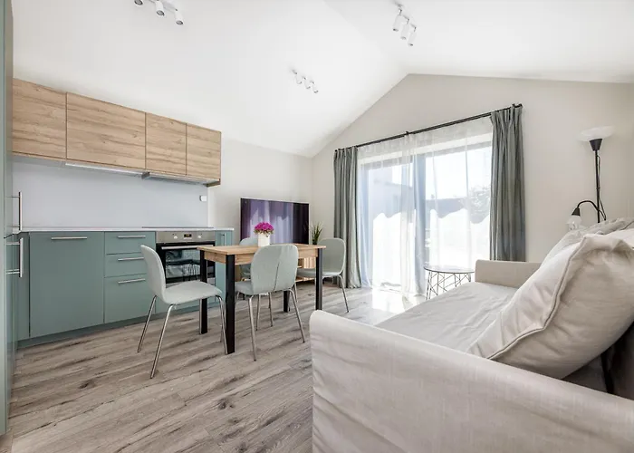 Livin'palanga פלאנגה