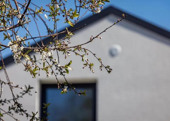 Livin'palanga דירה פלאנגה