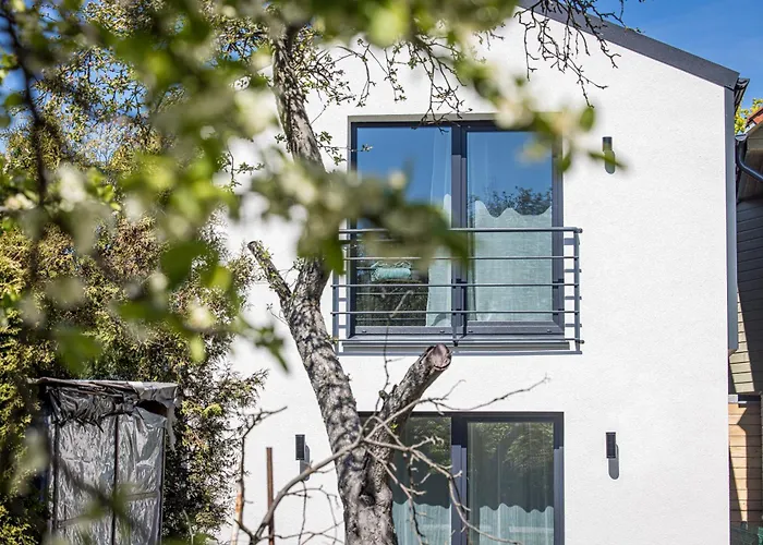 Livin'palanga דירה