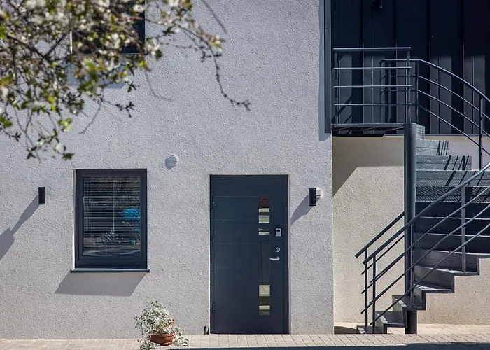 Livin'palanga פלאנגה